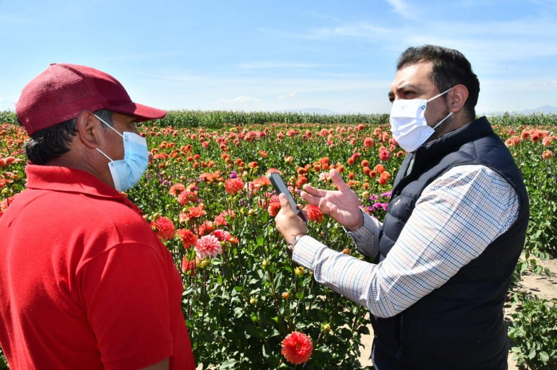 Apoya alcalde iniciativa de la producción de dalias